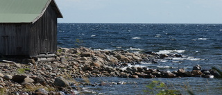 Strid om strandskyddet blev regeringsfråga – vill värna djur, växter och friluftsliv: ”Varför ska jag som markägare betala notan”