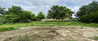 Tjära har hittats i marken i Klosterparken