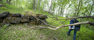 Här ska skärgårdens nya naturreservat bildas