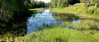 Vattenfall pumpar in vatten till Sävastån