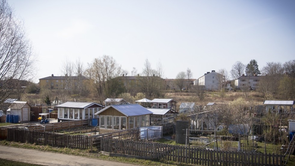 
Är det Lasstorp koloniförening som ska behöva ta konsekvenserna av placeringen, eller är det kommunen som borde ta fullt ansvar för detta, undrar Ayser Barham. 