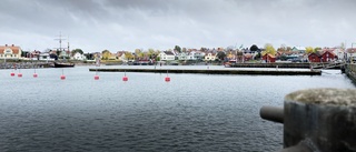 Runda bryggor och solsoffa – första förslaget på nya Öregrunds hamn