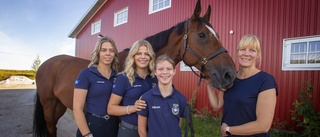 Framgångsrika familjen Marklund storsatsar – förstärker stallet med nya hästar