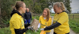 Unga städade längs Fyrisåns stränder