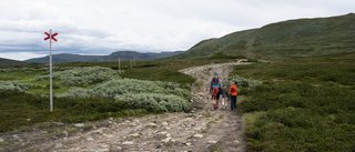 Norrbotten är vinnare på hemestern