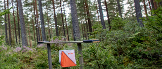 Framgångar för TGOK i Ljungsbrosprinten