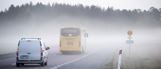 Bussar inställda efter stenkastning