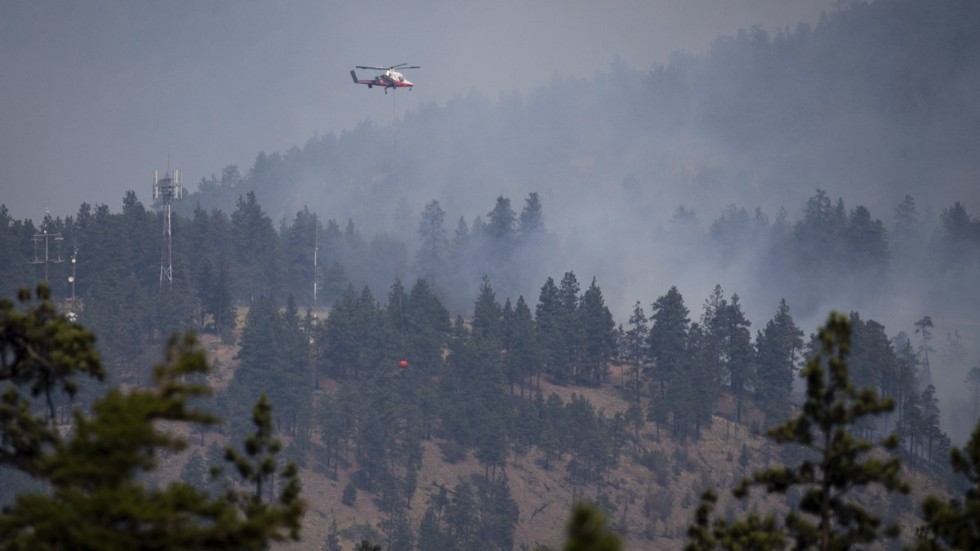 En vattenbombande helikopter nära Lytton, British Columbia, i fredags.