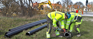 Alliansen satsar på Gotland   