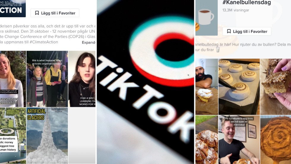Det finns flera knep för att bli mer synlig på TikTok, bland annat att använda sin talan, ta upp angelägna ämnen och använda hashtags, skriver vår unga gästkrönikör Klara Sjökvist.