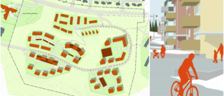 Så många nya bostäder kommer det nya bostadsområdet Backen på Sunnanå att erbjuda: ”Bostäder till barnfamiljer, ungdomar, singlar och äldre personer” 