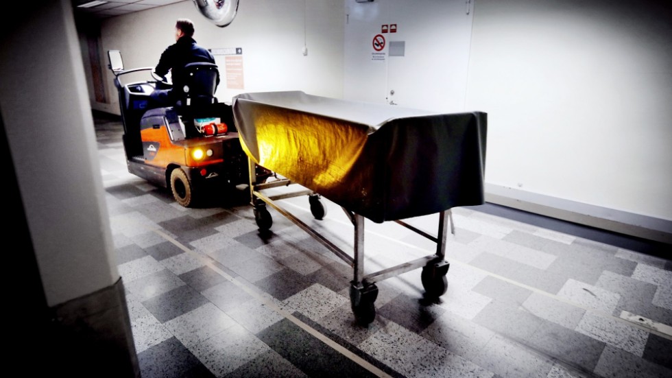 Nedan hittar du samtliga publicerade artiklar i vår granskning Döden på distans.