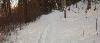 Snöänglar – finns det?        