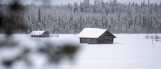 Dumsnålt slopa stöd för naturvård