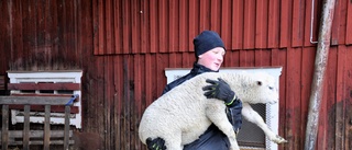 Vidar tar sikte mot eget lantbruk 