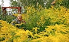 Tusen blommor i fingrarna