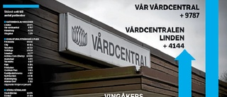 Populära vårdcentraler gör miljonvinster