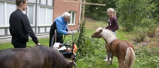 Ponnys omtyckt inslag på Trosagårdens midsommarfirande