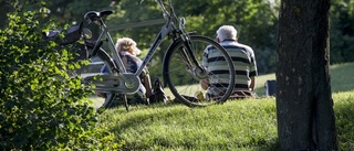 Dags för picknick