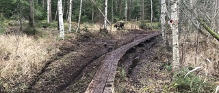 Mc-förare fortsätter köra sönder Sörmlandsled kring Katrineholm: "Man blir ju ledsen"