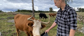 "Svempa" jagar tjuvar och jobbar med tjurar