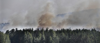 Sörmland högriskområde för nya skogsbränder