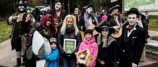 Rekordsiffror för Kolmårdens djurpark