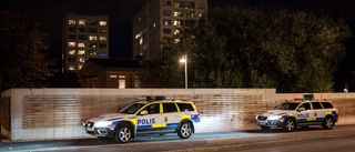 Det orsakade polispådraget