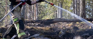 Räddningspådrag efter skogsbrand vid berg