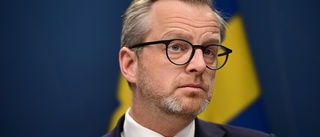 Damberg ber EU om bensinundantag