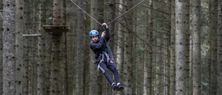 Zipline genom Ombergs boksskog är en riktig adrenalinhöjare • Teståkaren Theo: "Betyget blir fem av fem möjliga"