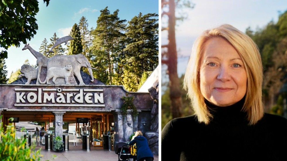 Kolmårdens vd Christine Karmfalk försvarar kraven på förbokning för besökarna i parken. "Upplevelsen blir bättre med det här systemet", säger hon.