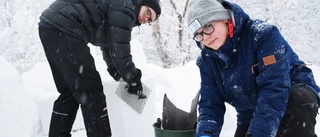 Den 31:a Snöfestivalen har startat