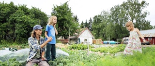 Gotlänningarnas vardag är miljövänligast