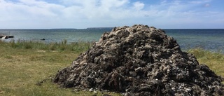 Trista besparingar i Sandhamn