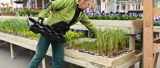 Nu öppnar Blomstergården igen – men jakten på ny ägare fortsätter: "Svårt för nyföretagare att få kredit"