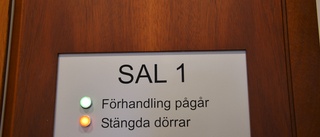 Bodensare åtalad för våldtäkt mot barn • Åklagaren: Har visat stor hänsynslöshet