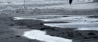 Militärt föremål oskadliggjort på strand