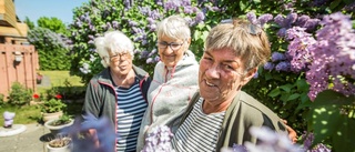 Blomvärdarna får kvarteren att blomstra