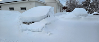 Ingen brist på snö i vinter    