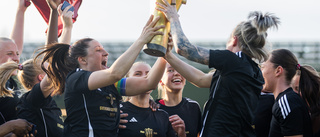 Planen godkänd: Piteå kan flytta damallsvensk match till Luleå