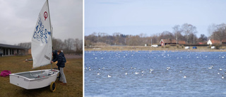 Här är segelbåten nära att välta ner i Roxens vatten