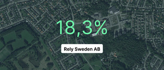 Få i branschen var bättre än Rely Sweden AB i fjol