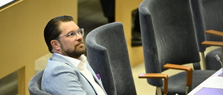 Åkesson bör stå upp för sin roll i regeringen