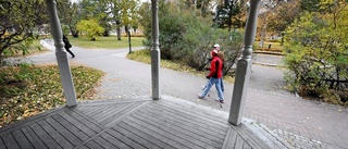 Nya stadsparken får vänta