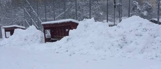 Snökaoset flyttar IFK Luleås kval – klart med ny spelplats