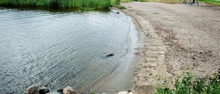 Badet i Luleå du bör undvika