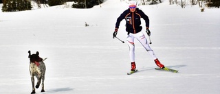 Skadefri Sofia Henriksson siktar på nästa kliv i karriären