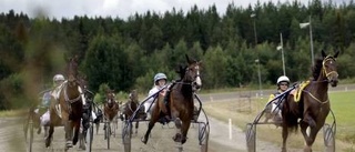 Hälften damernas på Vitsandstravet