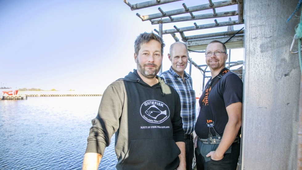 Thorgrim Christiansson, Sven Ove “Busse” Nordin och Johannes Klingvall är halva gänget bakom Gutefisk som under tisdagen korades till Årets Bönder 2022 i kategorin fisk- och skaldjur.